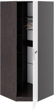Шкаф угловой с 1-ой глухой дверью Фьюжн ТД-260.07.03  (Ш×Г×В): 894×894×2181